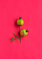 Vietnamese Pink Pomegranate Tree live plant - additional view 3