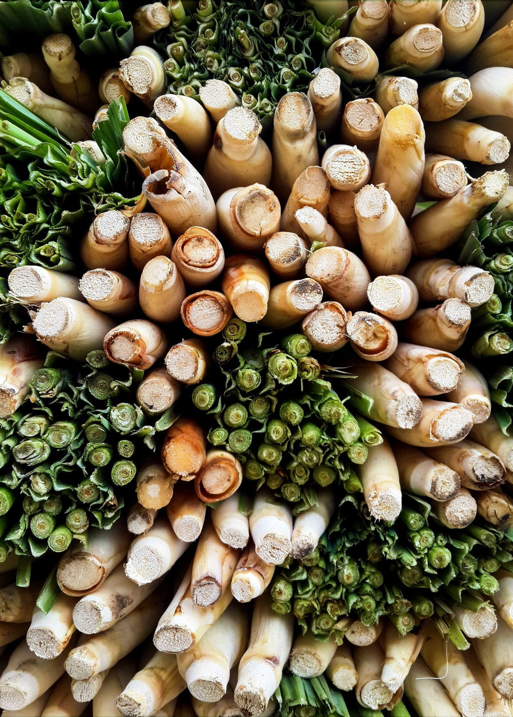 Harvested lemongrass stalks; culinary use example, not the live plant supplied