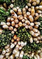 Harvested lemongrass stalks; culinary use example, not the live plant supplied