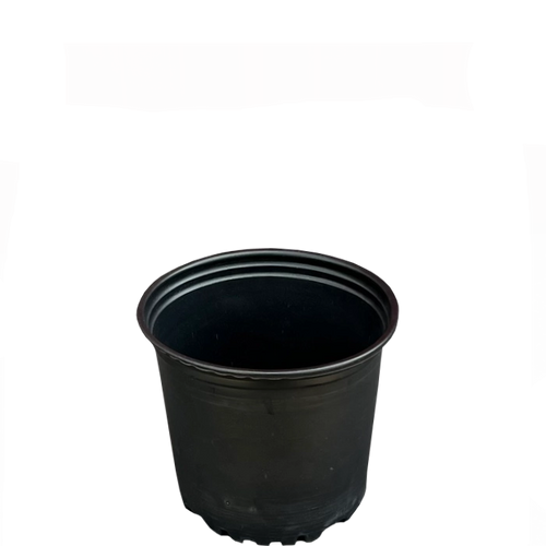 1 Gallon Trade Nursery Pot — Black HDPE Product Photo