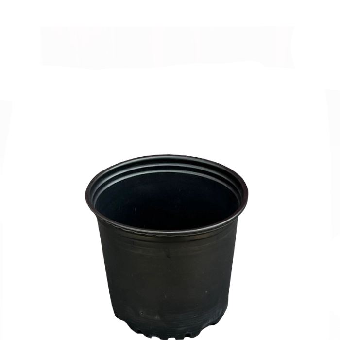 1 Gallon Trade Nursery Pot — Black HDPE