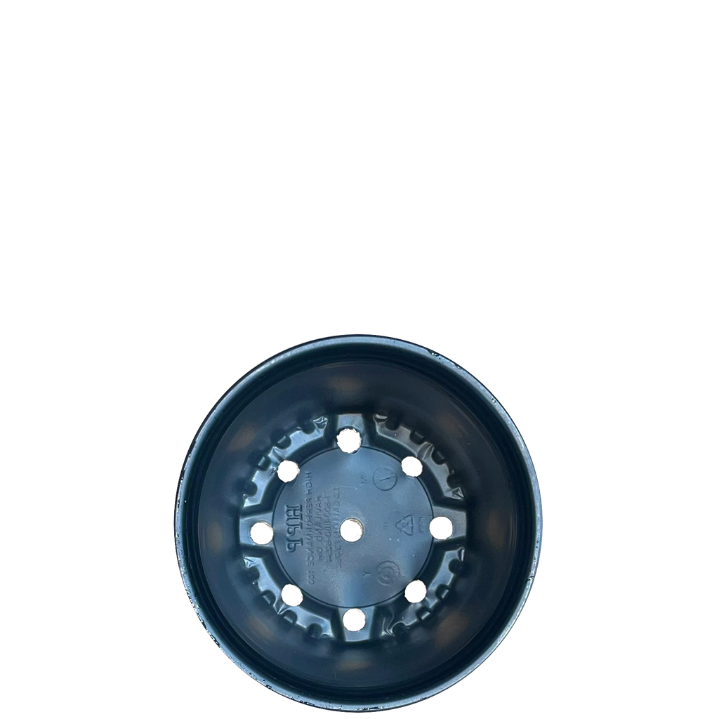1 Gallon Trade Nursery Pot — Black HDPE — Top view (interior + rim)