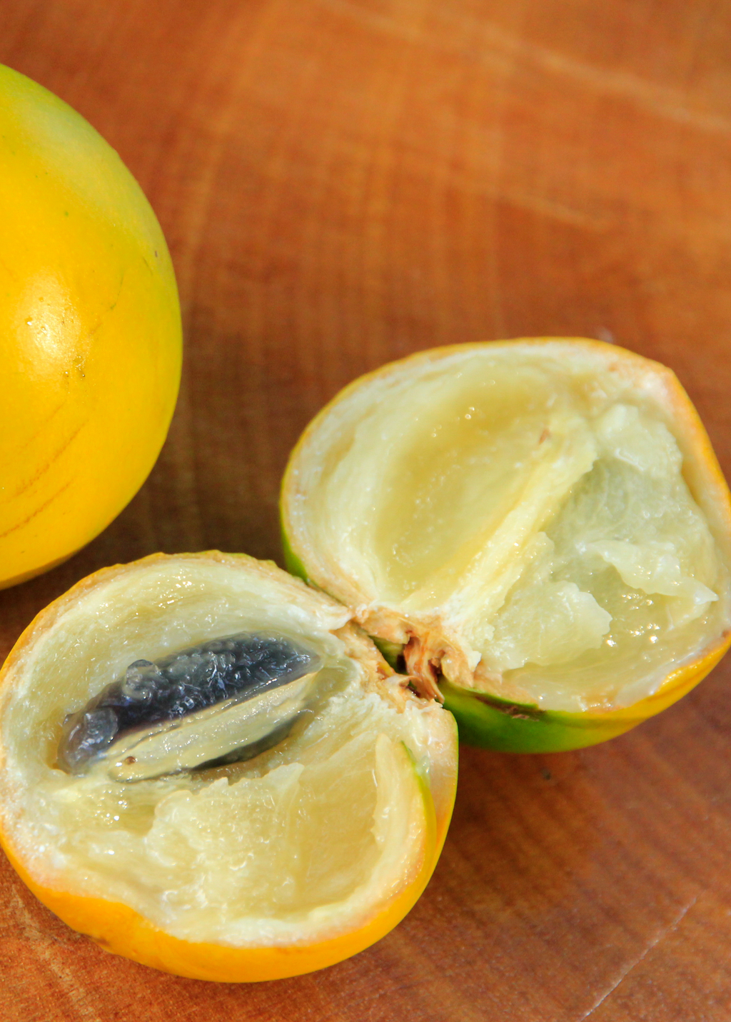 Abiu Tree — Pouteria caimito