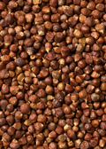 Grains of Paradise — Live Spice Plant