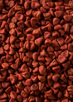 Annatto Achiote (Bixa orellana)