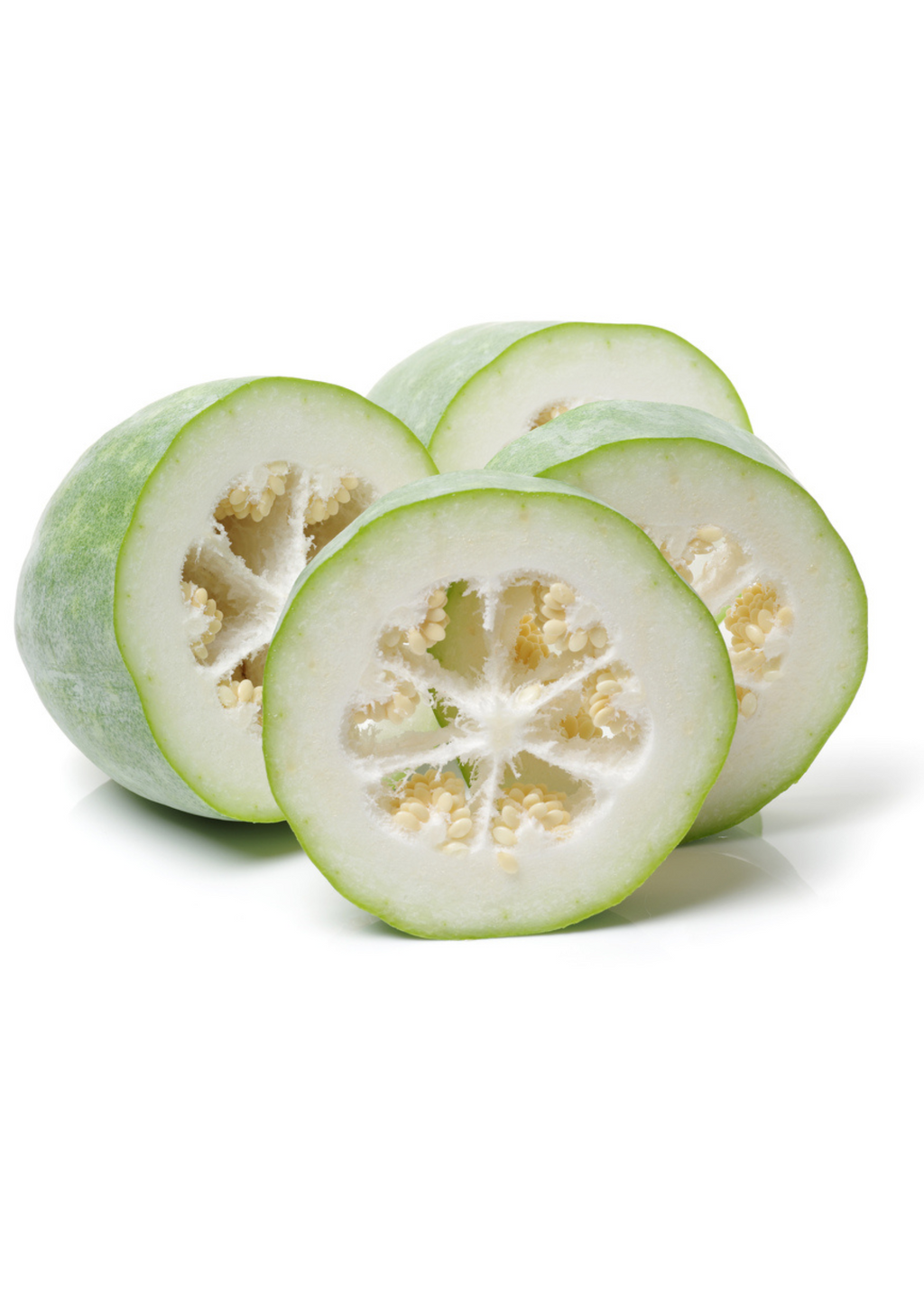 Winter Melon — Benincasa hispida Live Plant