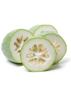 Winter Melon — Benincasa hispida Live Plant