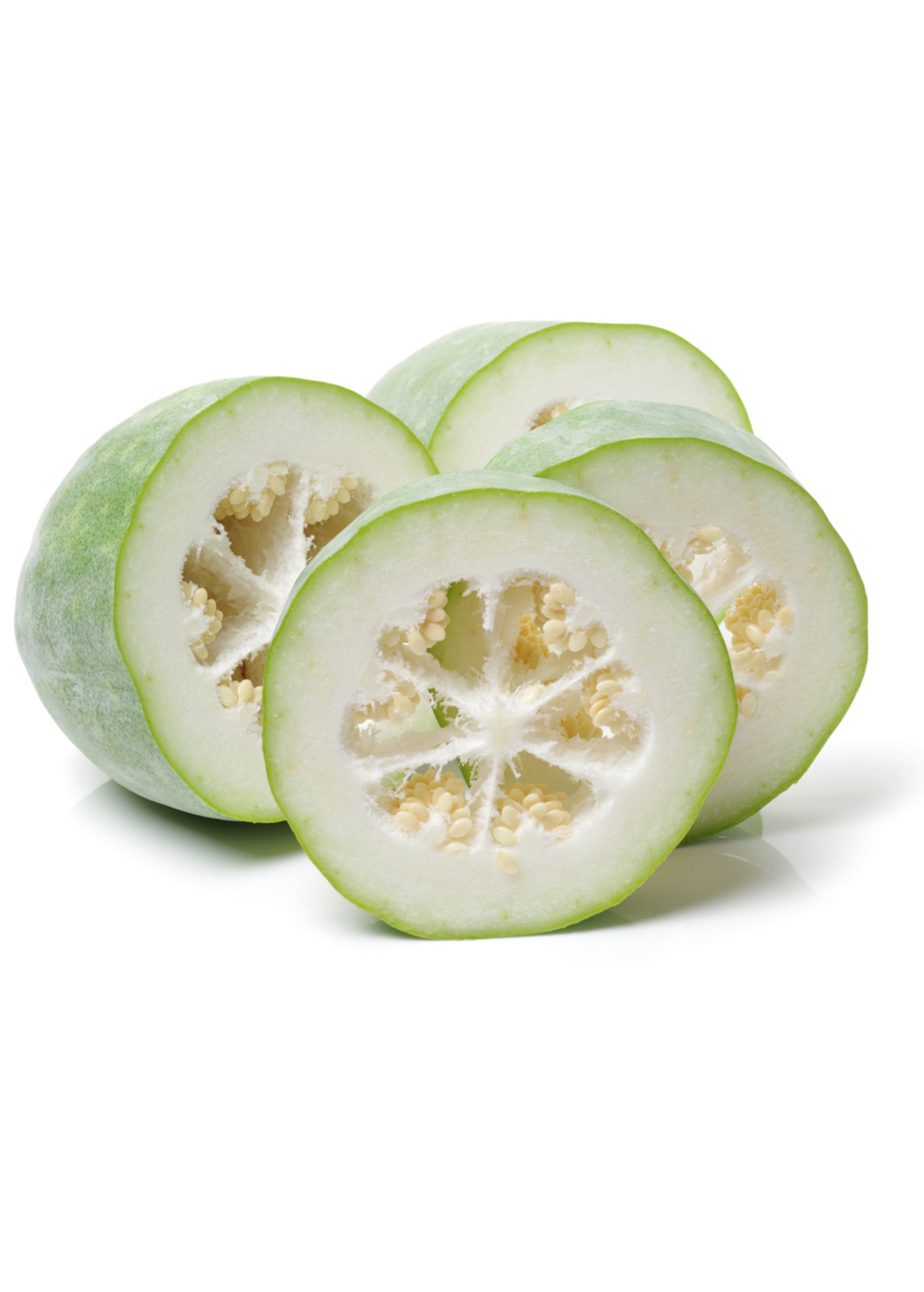 Winter Melon — Benincasa hispida Live Plant
