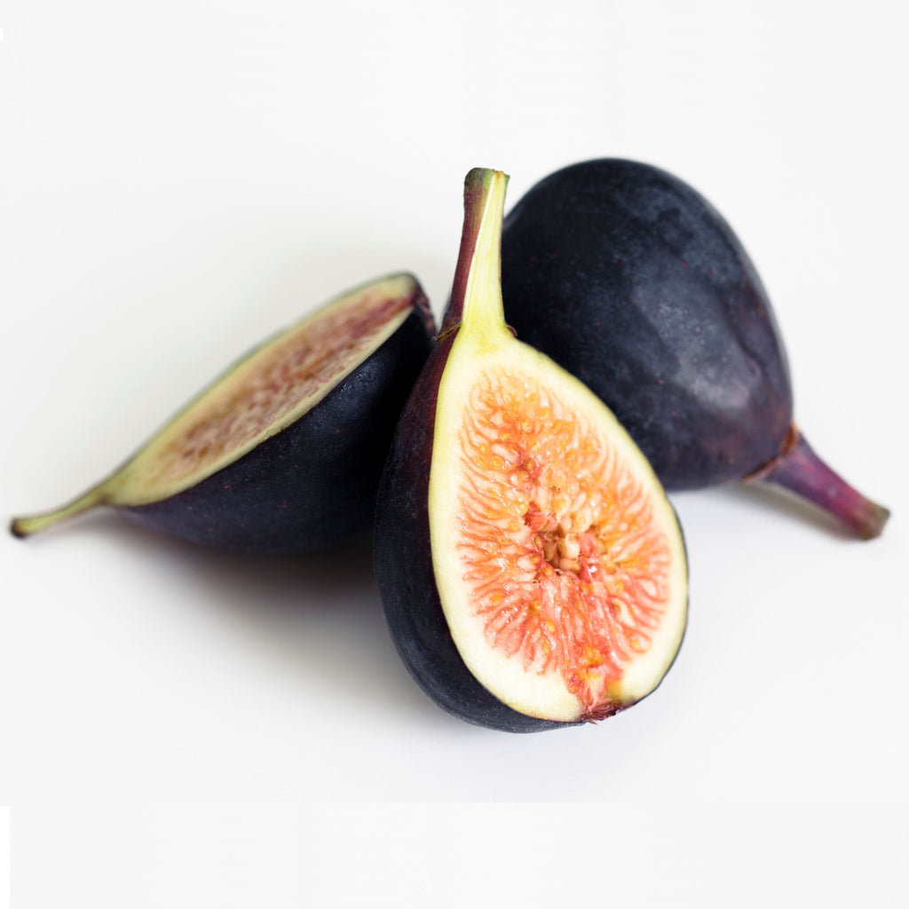 Black Mission Fig Tree — Rich, Jammy Figs live plant