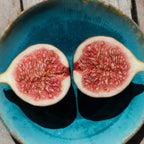 Fig Orchard Pack — Three Productive Fruit Trees live plant