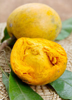 Canistel Seedling — Eggfruit Tree
