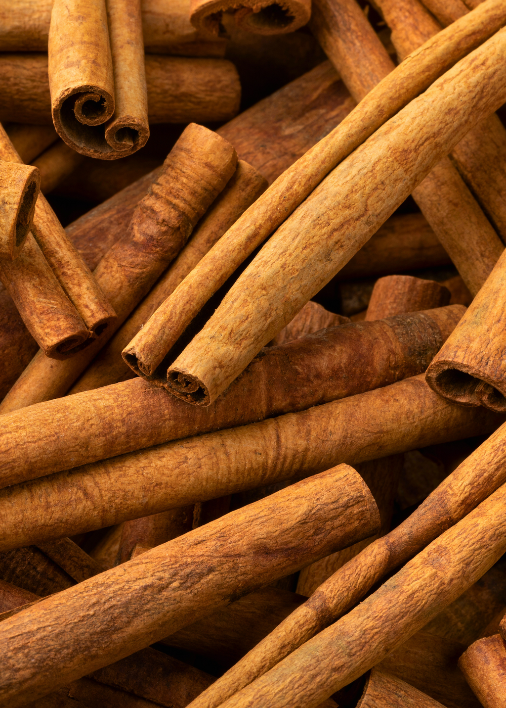 Cassia Cinnamon — Chinese Cinnamon Tree