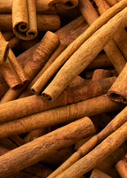 Cassia Cinnamon — Chinese Cinnamon Tree