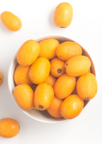 Yellow Jocote Tree — Yellow Hog Plum