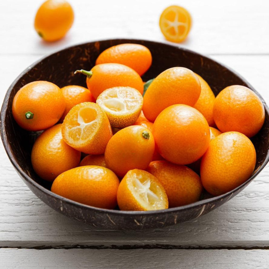 Fukushu Kumquat Tree live fruit plant