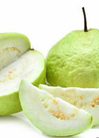 Thai White Guava Tree