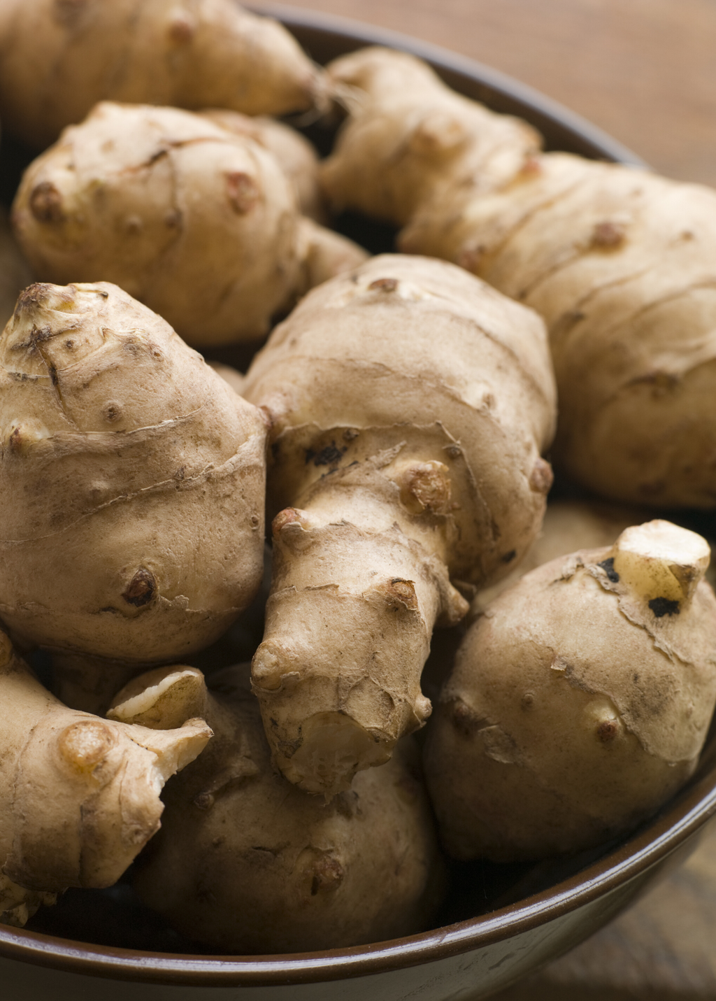 Jerusalem Artichoke — Sunchoke Live Plant