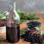 Marge Elderberry live fruit plant
