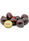 Purple Forest Guava Tree
