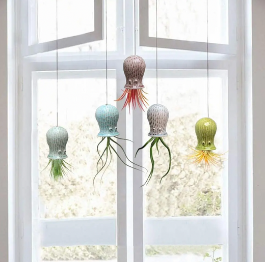 Hanging Air Plant Buddies