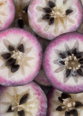 Purple Caimito — Star Apple Tree
