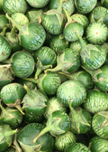 Thai Eggplant — Live Vegetable Plant