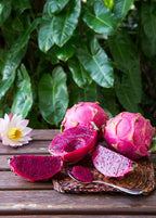 Tricia Red Dragon Fruit — Live Cactus Plant
