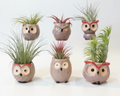 Ceramic Owl Planters Natural – Air Plant Pots with Live Air Plants