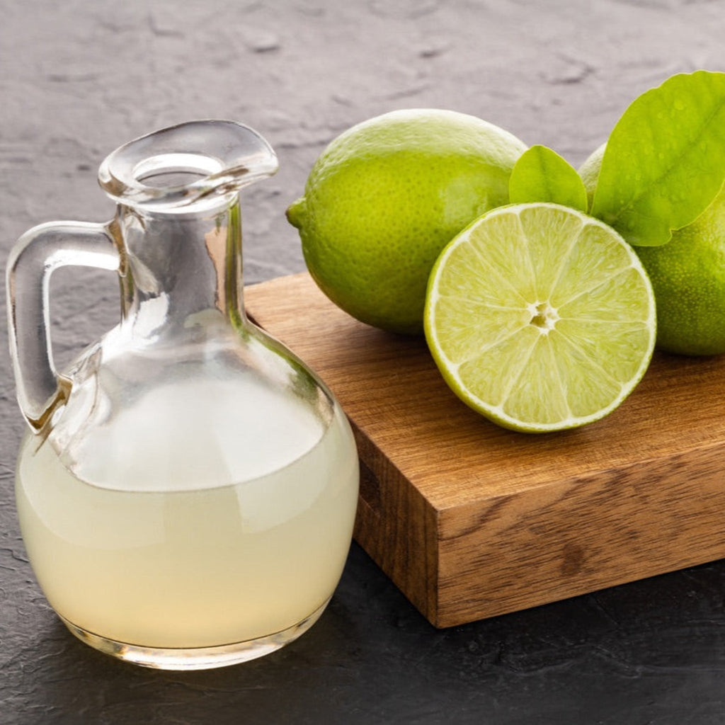 Persian Bearss Lime Tree — Seedless Patio Citrus live plant