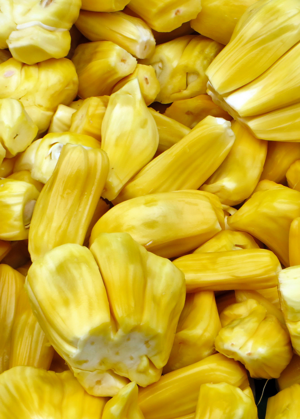 Golden Nugget Jackfruit Tree live plant - additional view 4