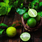 Key Lime Bush live fruit plant