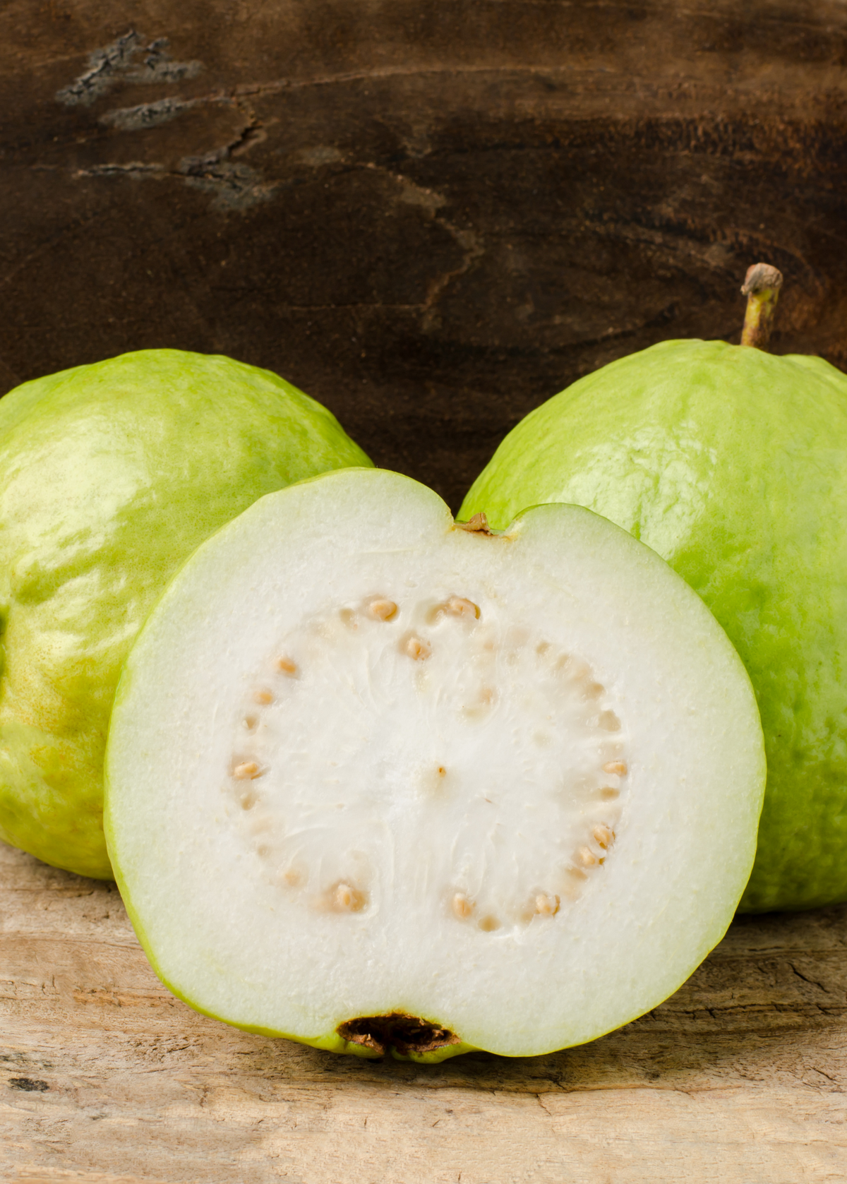 Kilo Guava Tree — Large-Fruited Guava