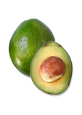 Monroe Avocado Tree