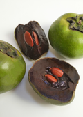 Black Sapote Seedling Tree