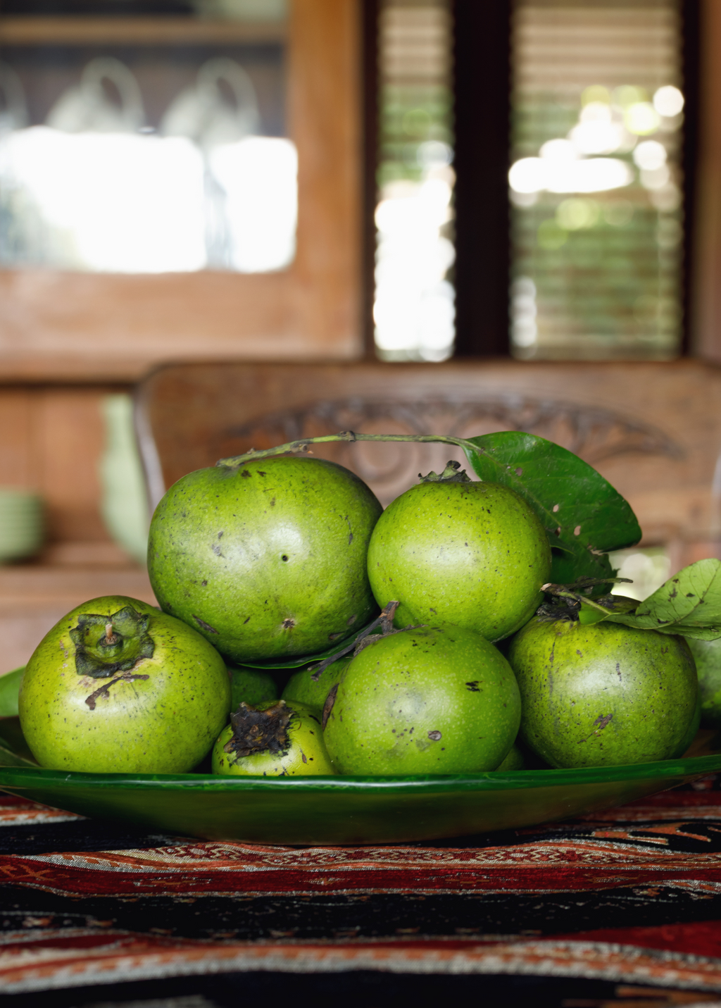 Black Sapote Seedling Tree live plant - additional view 5