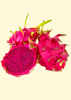 Edgar's Baby Dragon Fruit Plant live plant - additional view 2