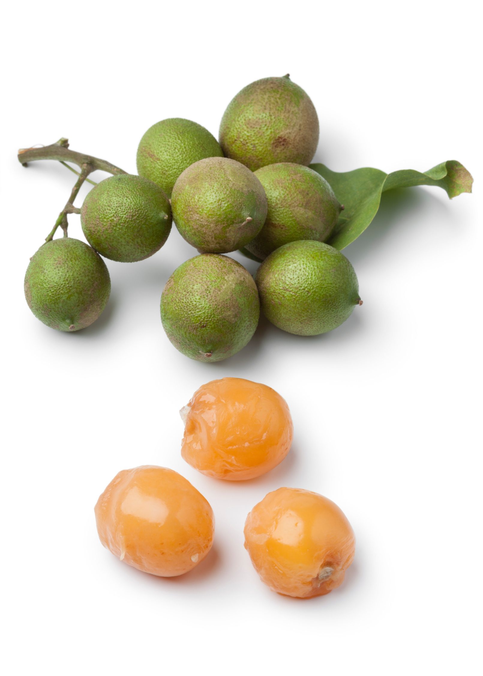 Spanish Lime Tree — Quenepa live plant