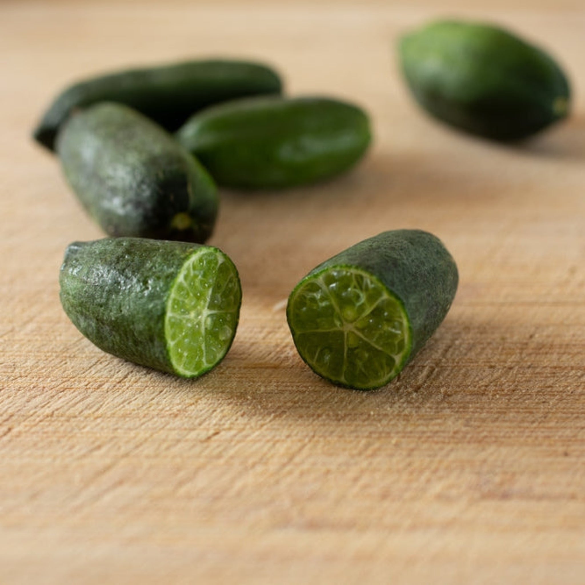 Australian Finger Lime Tree live fruit plant