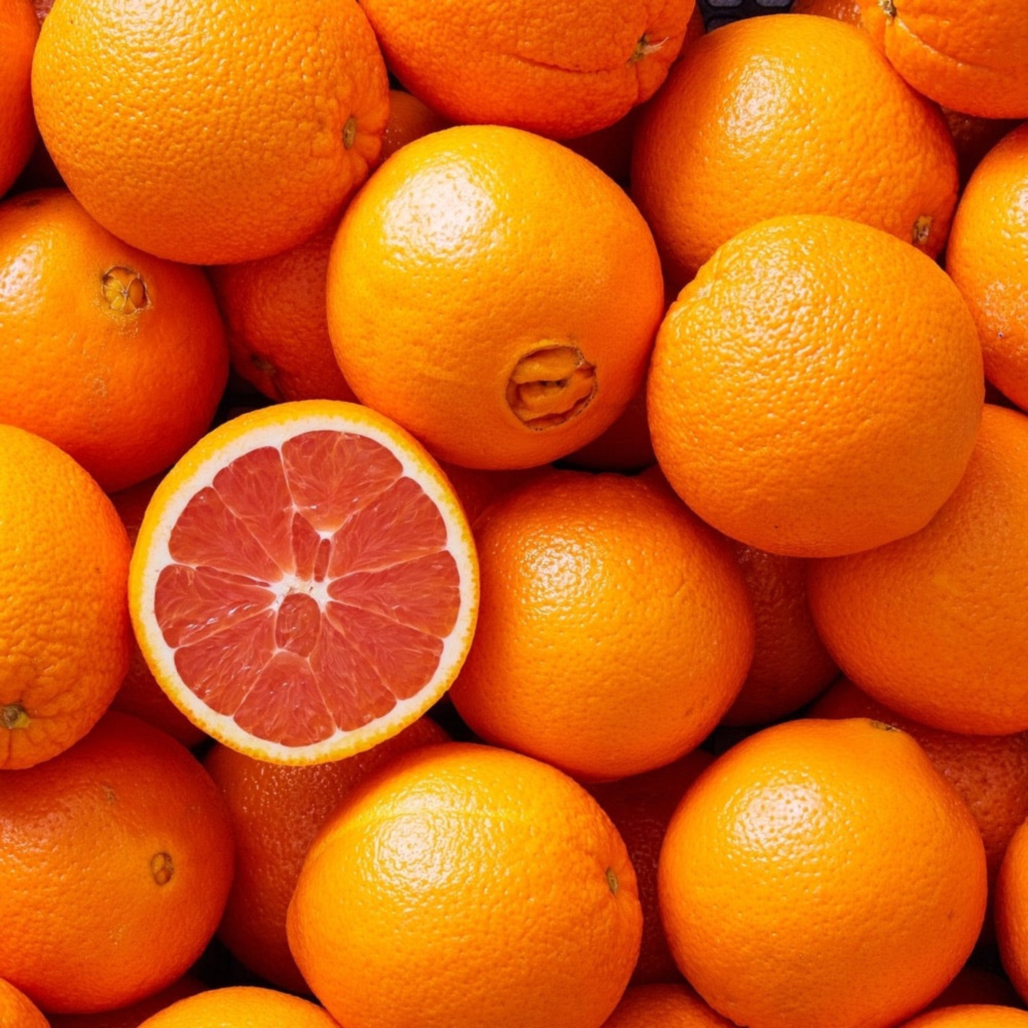 Cara Cara Orange Tree live fruit plant