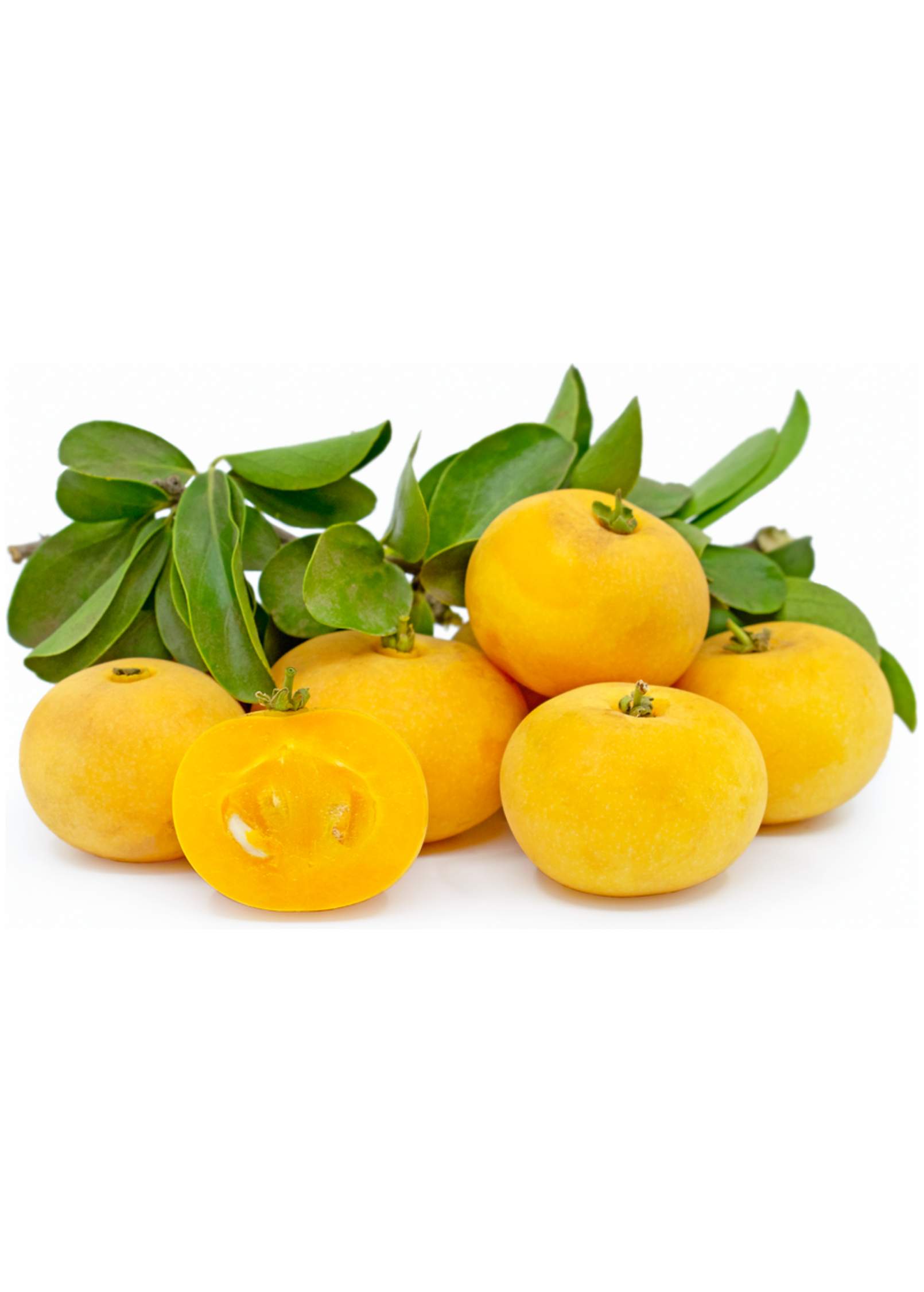 Kei Apple — Thorny Fruiting Shrub