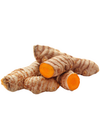 Orange Turmeric Plant — Curcuma longa