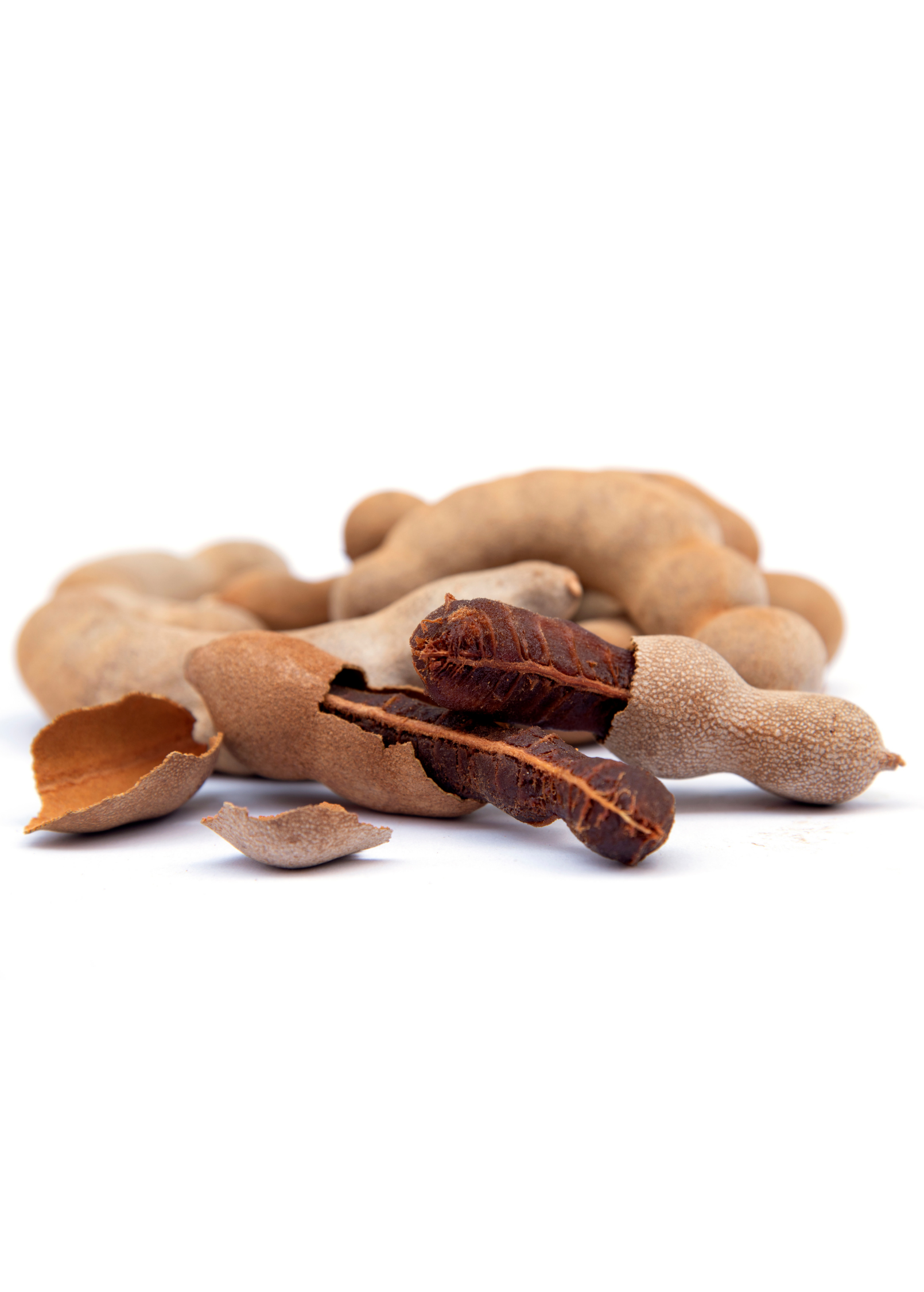 Tart Tamarind Tree — Tamarindus indica
