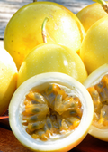 Yellow Passion Fruit Vine